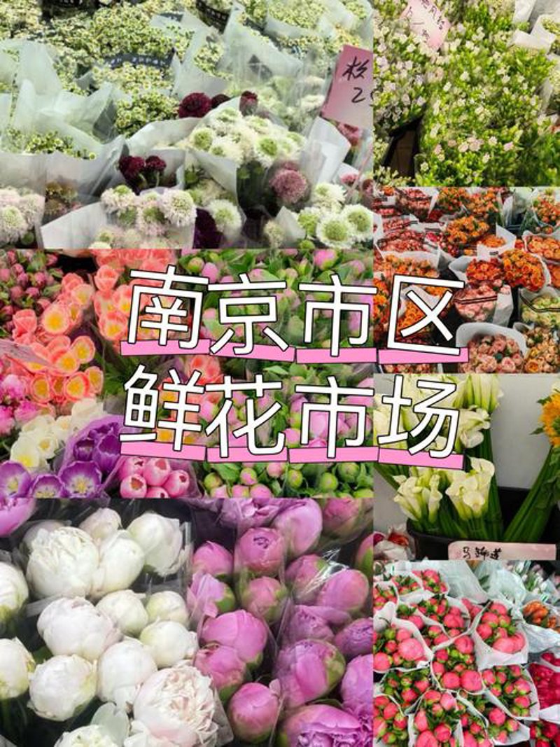 鲜花速递选购指南，让爱即时送达